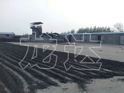 ̿a(chn)F(xin)(chng)