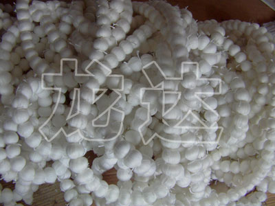 wSa(chn)